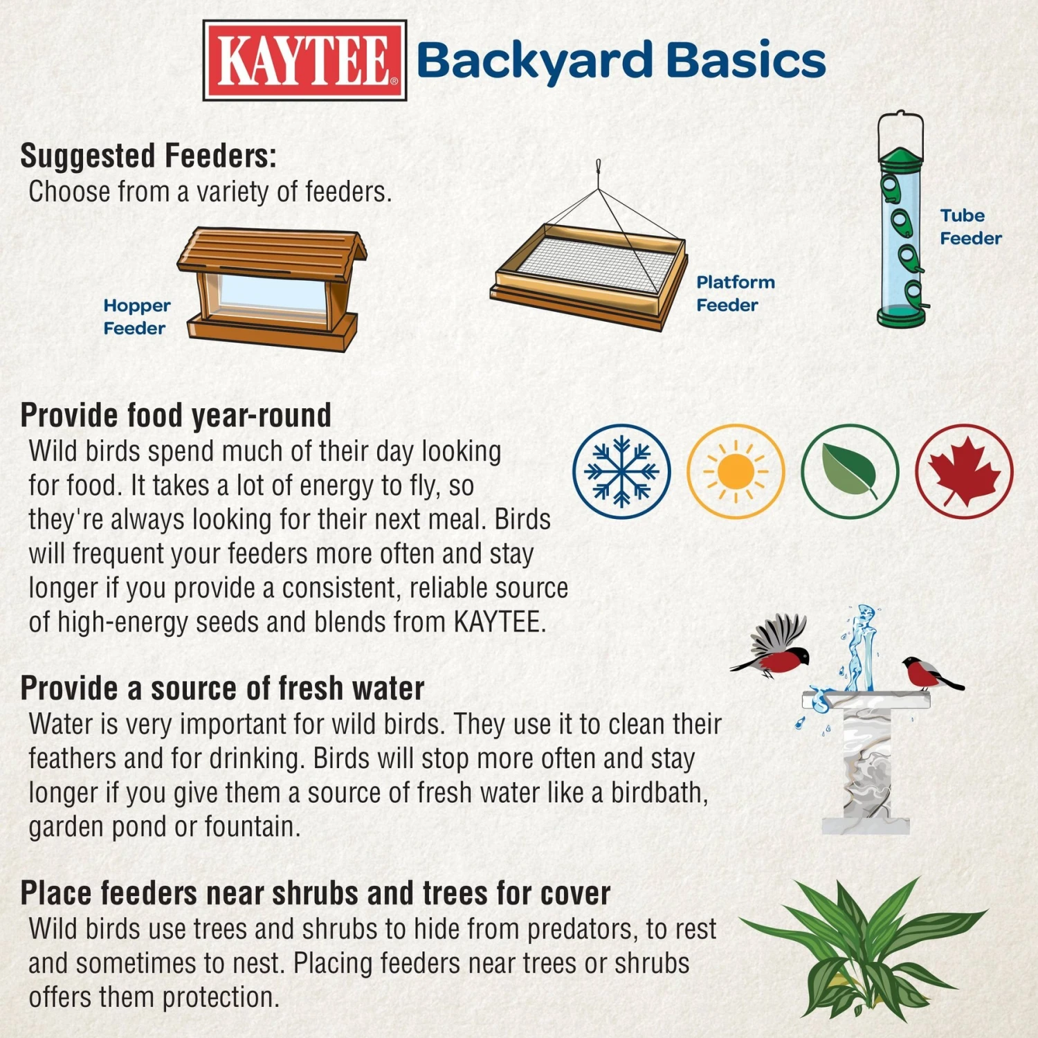 Kaytee Dried Mealworms Wild Bird & Chicken Treat 6 Kaytee Dried Mealworms Wild Bird & Chicken Treat - Image 4