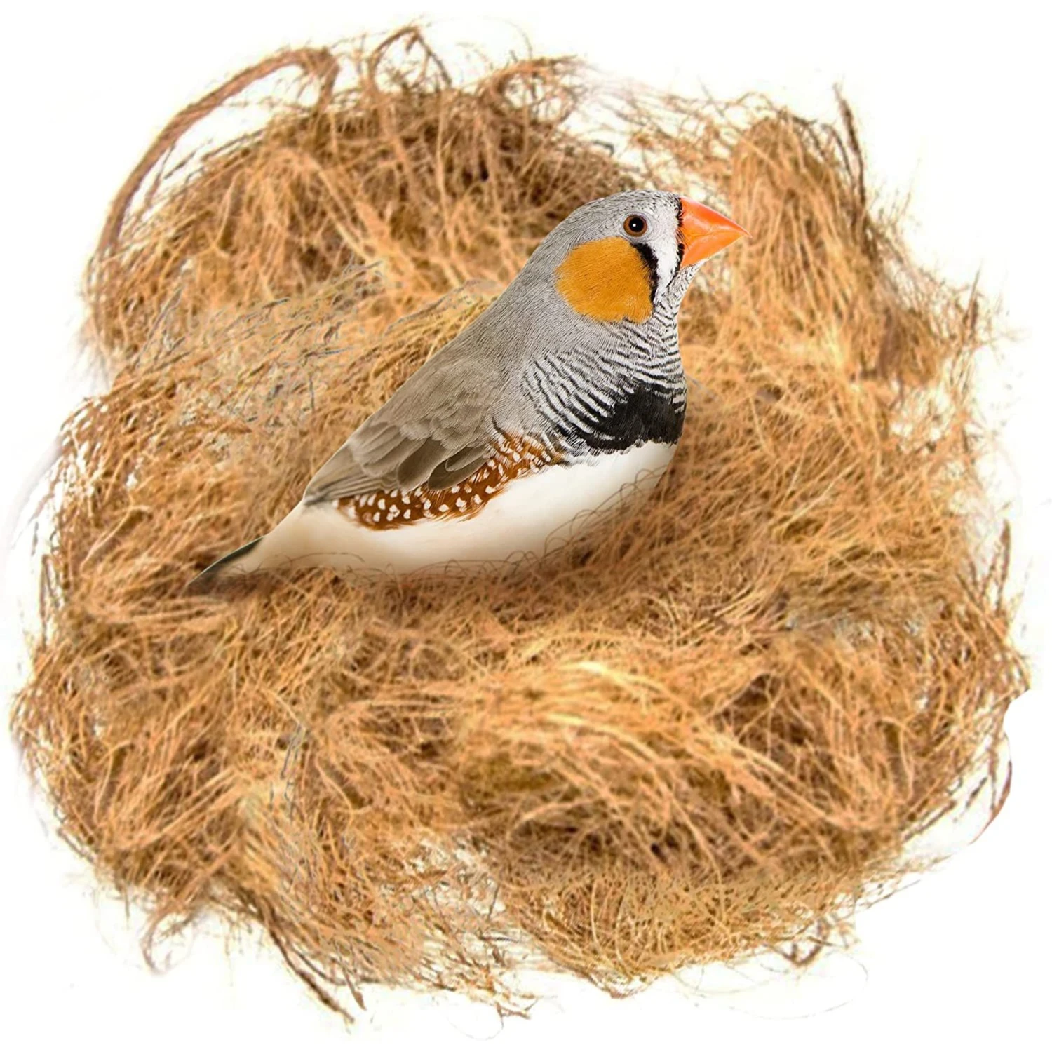 SunGrow Bird Nesting Coconut Fiber, Bedding Material For Parakeet & Finch Nest Box 3 SunGrow Bird Nesting Coconut Fiber, Bedding Material For Parakeet & Finch Nest Box
