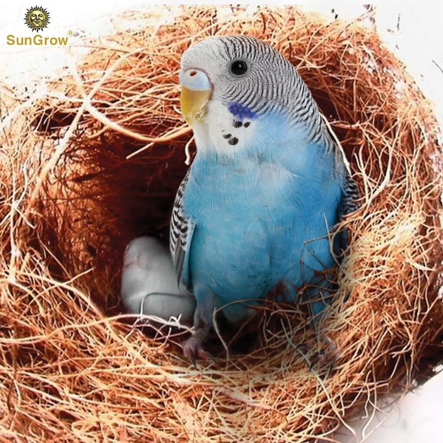 SunGrow Bird Nesting Coconut Fiber, Bedding Material For Parakeet & Finch Nest Box 4 SunGrow Bird Nesting Coconut Fiber, Bedding Material For Parakeet & Finch Nest Box - Image 2