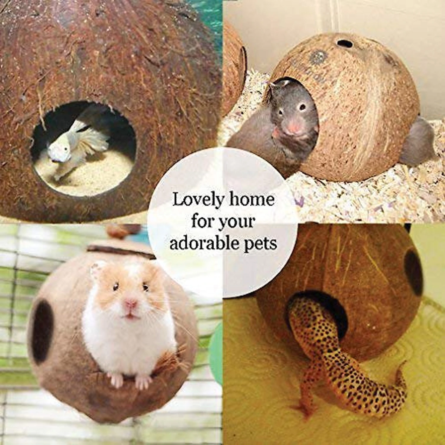 SunGrow Outdoor Coconut Hide & Bird Finch Cage & Hummingbird Bird Nest 6 SunGrow Outdoor Coconut Hide & Bird Finch Cage & Hummingbird Bird Nest - Image 4