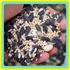 Wild Delight Better Blend Songbird Wild Bird Food 13 Wild Delight Better Blend Songbird Wild Bird Food -Sunny Decor Shop 186008 PT2. AC SS1800 V1657656132