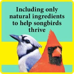 Wild Delight Better Blend Songbird Wild Bird Food 14 Wild Delight Better Blend Songbird Wild Bird Food -Sunny Decor Shop 186008 PT3. AC SS1800 V1651181790