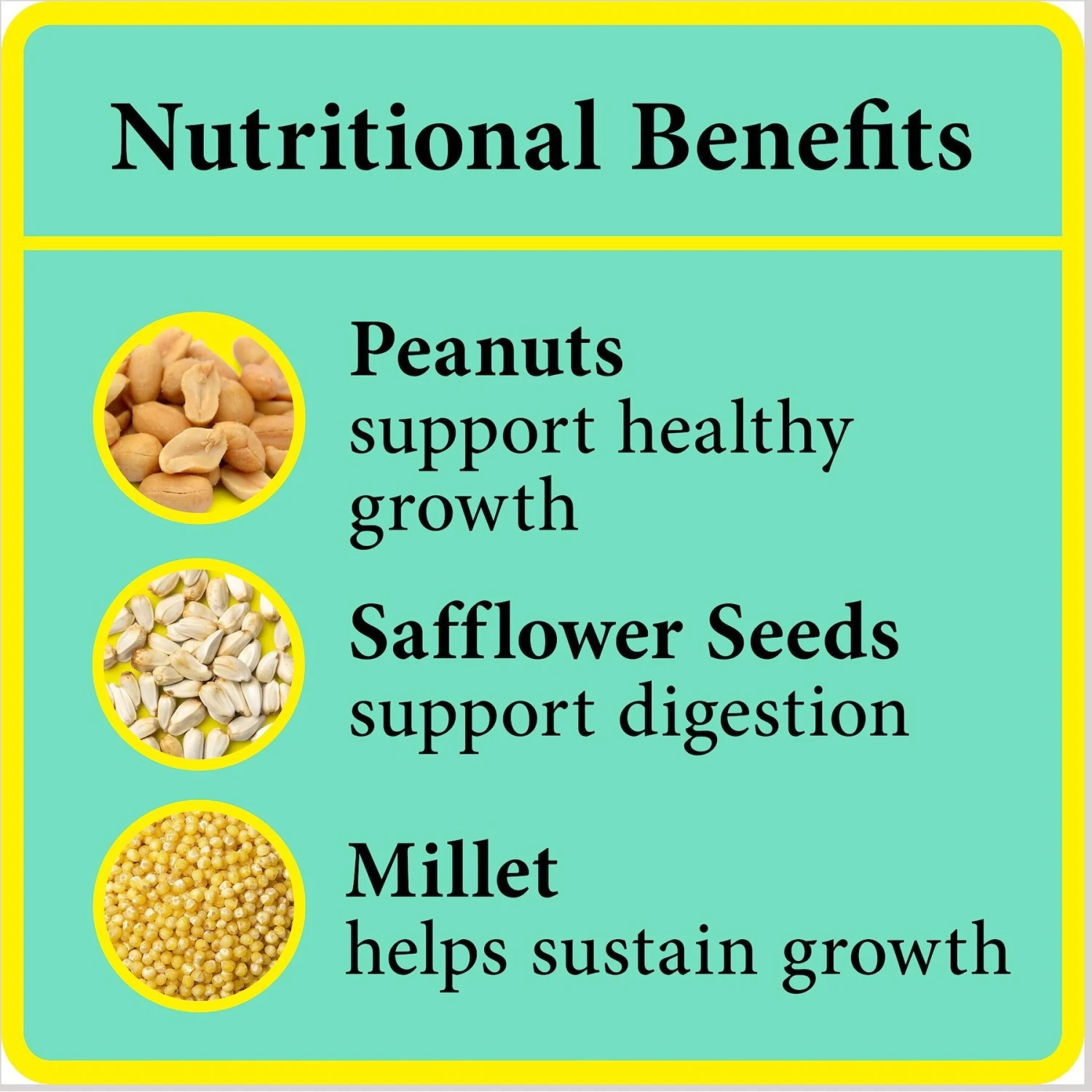 Wild Delight Better Blend Songbird Wild Bird Food 7 Wild Delight Better Blend Songbird Wild Bird Food - Image 5