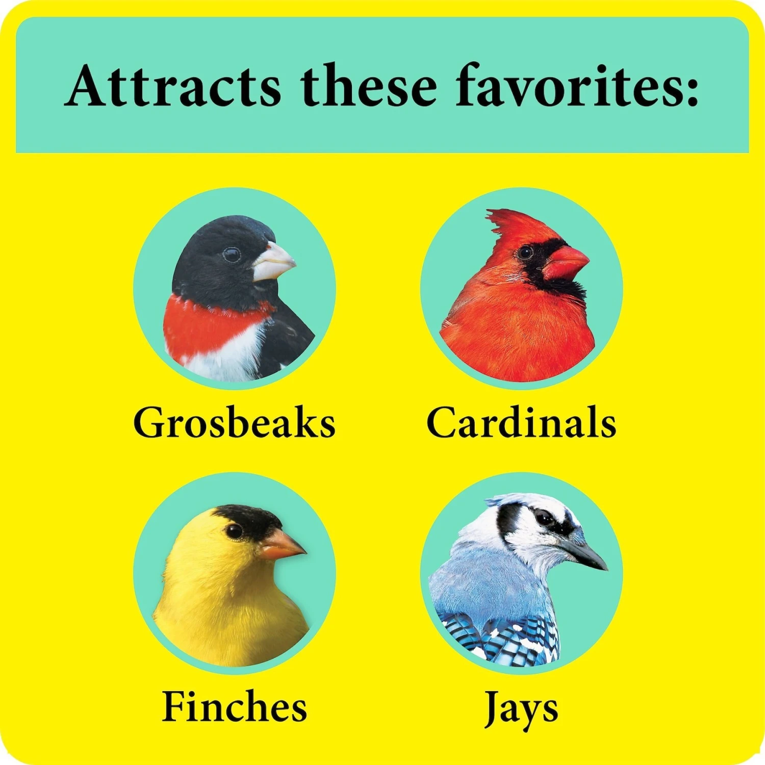 Wild Delight Better Blend Songbird Wild Bird Food 8 Wild Delight Better Blend Songbird Wild Bird Food - Image 6