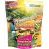 Brown's Tropical Carnival Fruit & Nut Macaw Big Bites! Bird Treats 1 Brown's Tropical Carnival Fruit & Nut Macaw Big Bites! Bird Treats -Sunny Decor Shop 189481 MAIN. AC SS1800 V1668026984