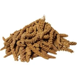 Brown's Tropical Carnival Golden Millet Spray Bird Treat