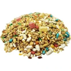 Brown's Gourmet Parakeet Food -Sunny Decor Shop 189522 PT6. AC SS1800 V1668025390