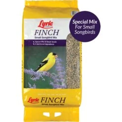 Lyric Finch Small Songbird Wild Bird Food
