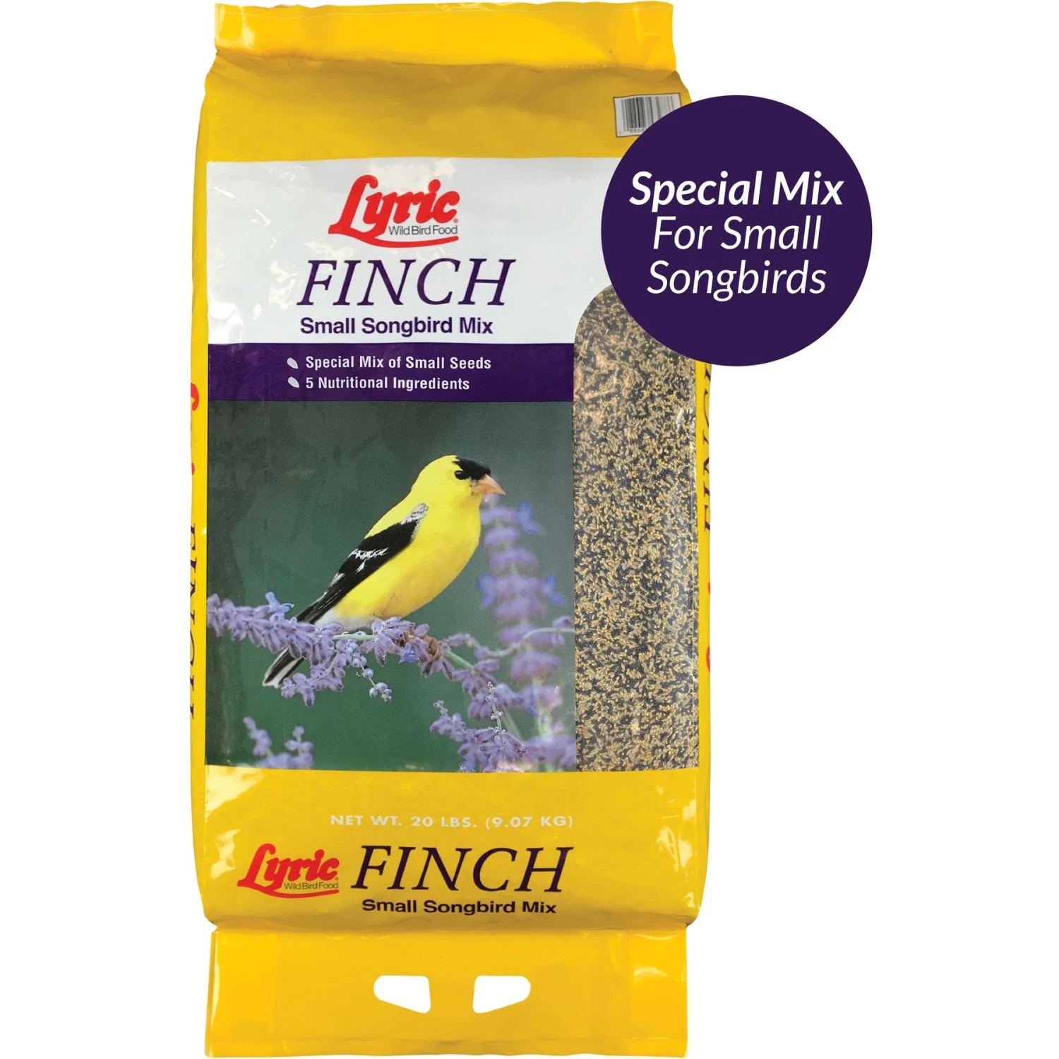Lyric Finch Small Songbird Wild Bird Food 3 Lyric Finch Small Songbird Wild Bird Food