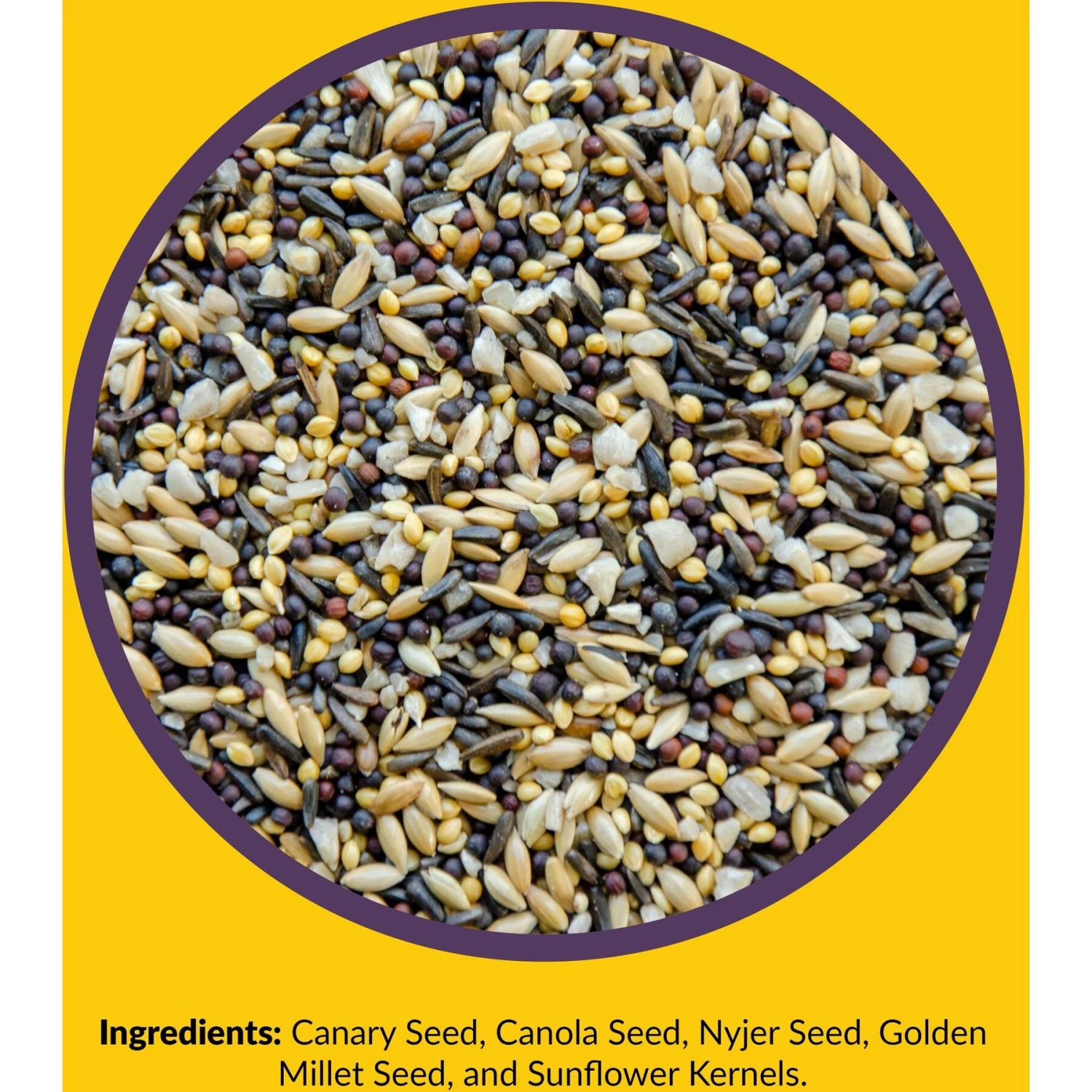 Lyric Finch Small Songbird Wild Bird Food 6 Lyric Finch Small Songbird Wild Bird Food - Image 4