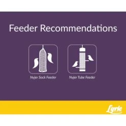 Lyric Finch Small Songbird Wild Bird Food 14 Lyric Finch Small Songbird Wild Bird Food -Sunny Decor Shop 189539 PT4. AC SS1800 V1661895960