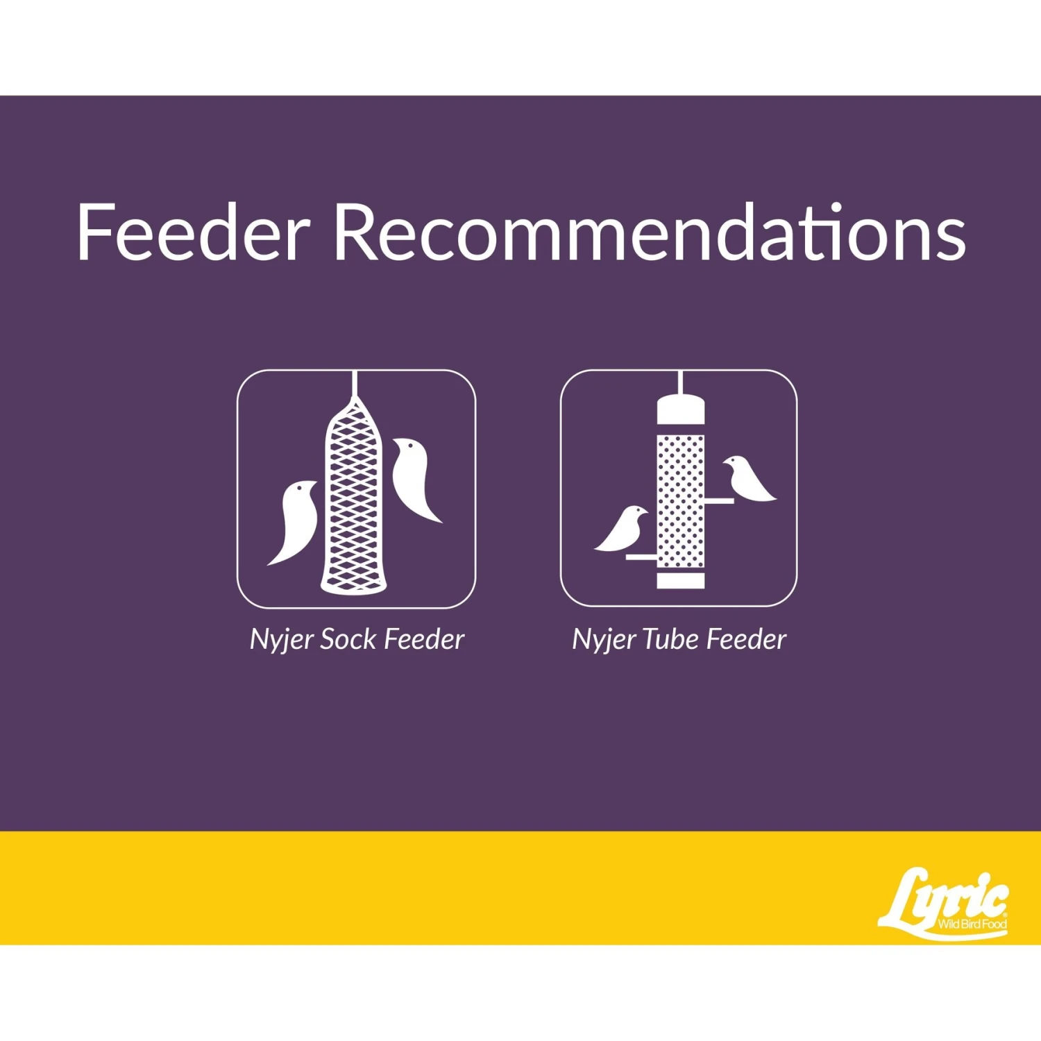 Lyric Finch Small Songbird Wild Bird Food 7 Lyric Finch Small Songbird Wild Bird Food - Image 5