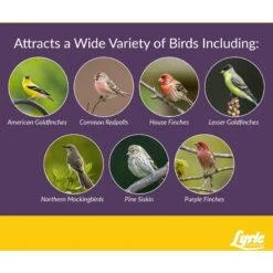 Lyric Finch Small Songbird Wild Bird Food 15 Lyric Finch Small Songbird Wild Bird Food -Sunny Decor Shop 189539 PT5. AC SS1800 V1661895958