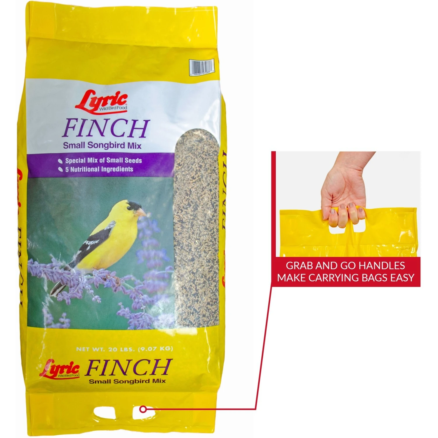 Lyric Finch Small Songbird Wild Bird Food 9 Lyric Finch Small Songbird Wild Bird Food - Image 7