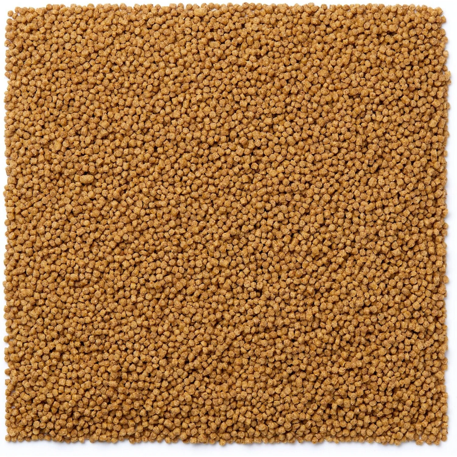 Mazuri Mini Bird Food 5 Mazuri Mini Bird Food - Image 3