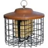 More Birds Squirrel-Proof Double Suet Bird Feeder -Sunny Decor Shop 193615 MAIN. AC SS1800 V1566312424