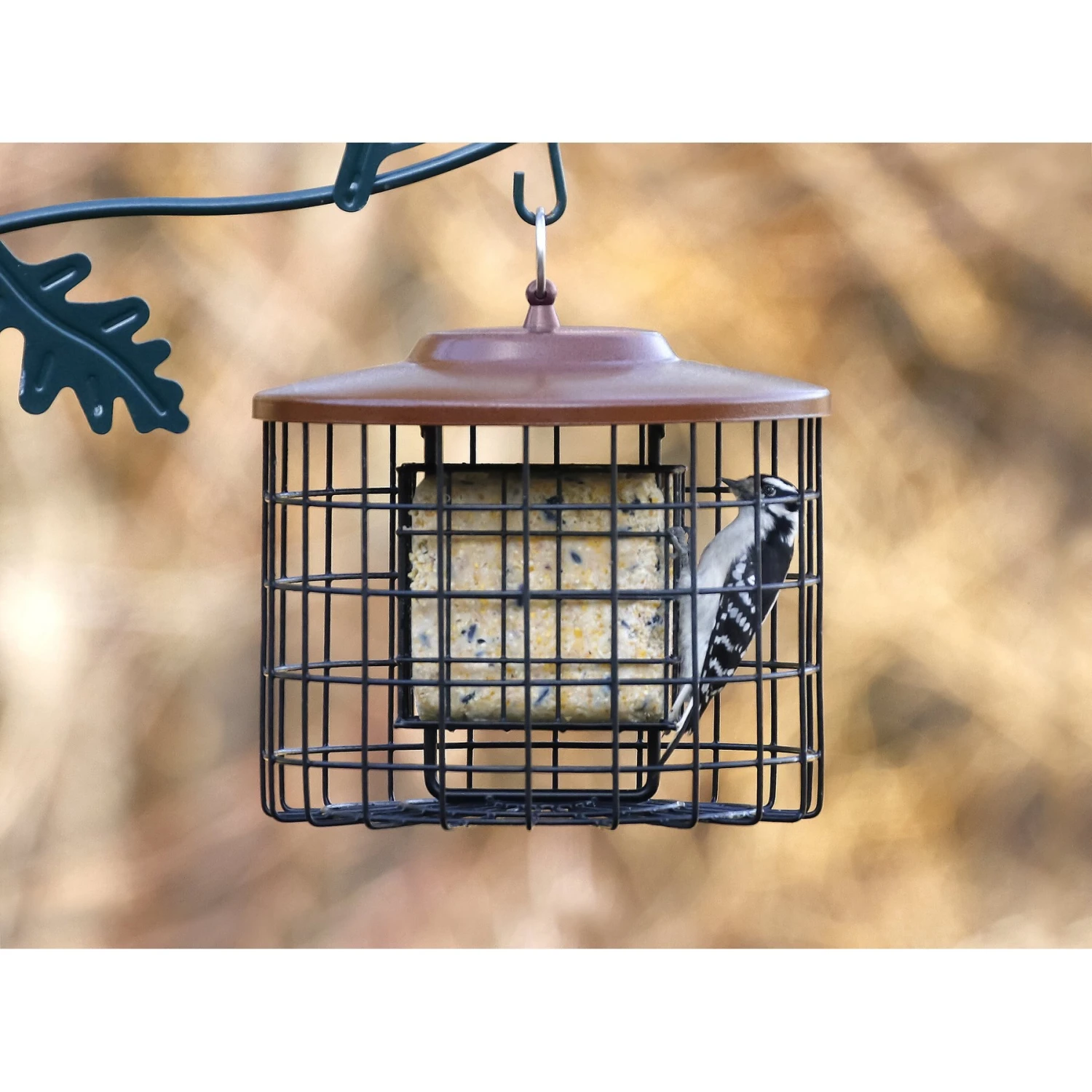 More Birds Squirrel-Proof Double Suet Bird Feeder 3 More Birds Squirrel-Proof Double Suet Bird Feeder - Image 2