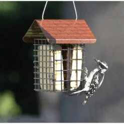 More Birds Two Cake Suet Buffet Bird Feeder -Sunny Decor Shop 193617 PT1. AC SS1800 V1566312430