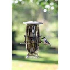 More Birds Abundance Bird Feeder -Sunny Decor Shop 193640 PT1. AC SS1800 V1566312539