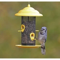 More Birds Sedona Screen Bird Feeder -Sunny Decor Shop 193648 PT1. AC SS1800 V1566312565