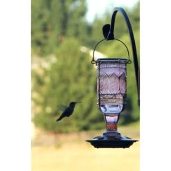 More Birds Amethyst Jewel Hummingbird Feeder, 20-oz -Sunny Decor Shop 193688 PT1. AC SS1800 V1566312301