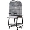 A&E Cage Company Open Top Dome Bird Cage & Removable Stand -Sunny Decor Shop 197419 MAIN. AC SS1800 V1594139164
