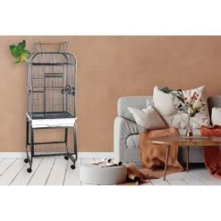A&E Cage Company Play Top Bird Cage & Plastic Base -Sunny Decor Shop 197464 PT2. AC SS1800 V1595522254