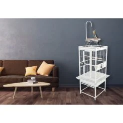 A&E Cage Company Play Top Bird Cage 7 A&E Cage Company Play Top Bird Cage -Sunny Decor Shop 197470 PT2. AC SS1800 V1595523375