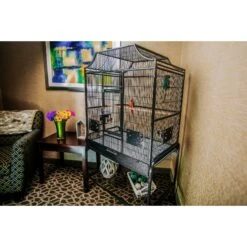 A&E Cage Company Elegant Style Flight Bird Cage -Sunny Decor Shop 197559 PT2. AC SS1800 V1595522191