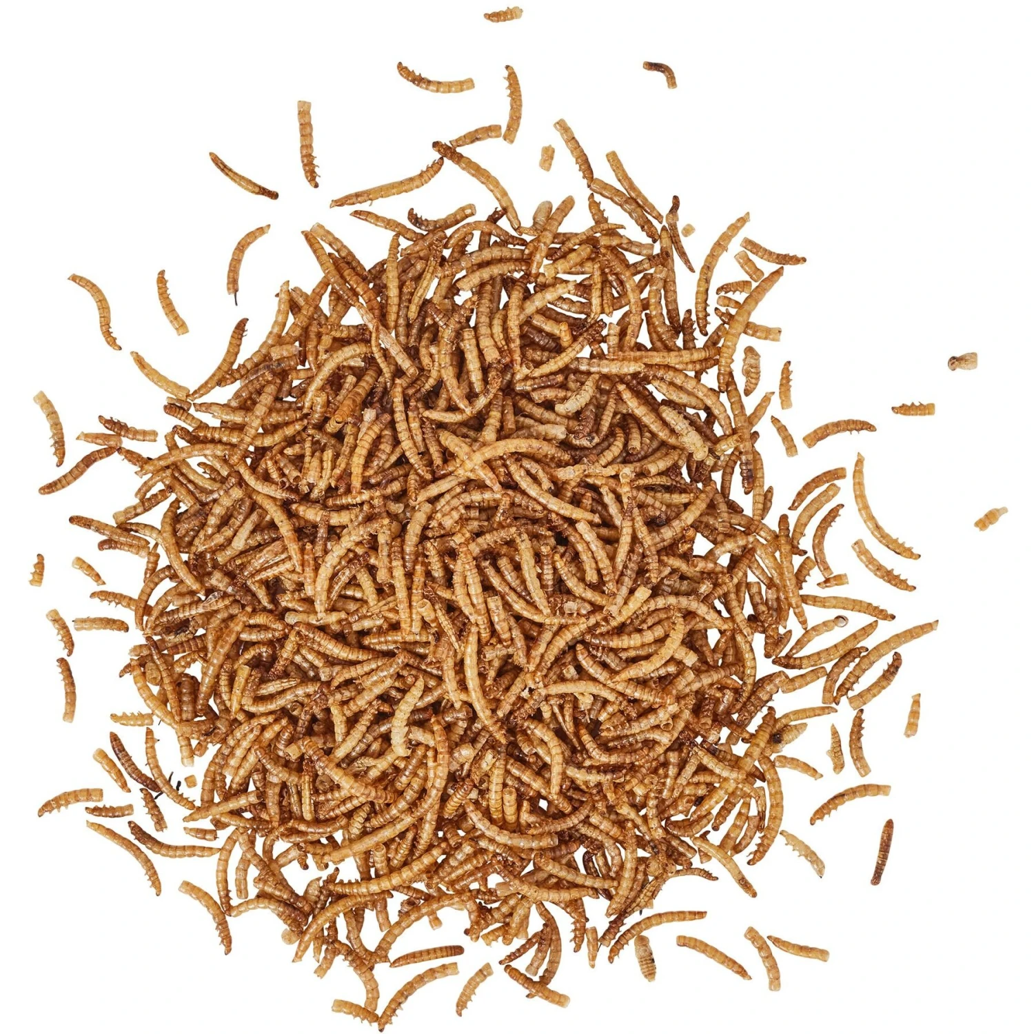Wildlife Sciences Dried Mealworms, 21-oz Bag 5 Wildlife Sciences Dried Mealworms, 21-oz Bag - Image 3