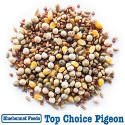 Bluebonnet Feeds Top Choice Pigeon Food, 50-lb Bag -Sunny Decor Shop 205363 PT7. AC SS1800 V1682096567