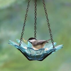 Mosaic Birds Daisy Petite Hanging Bird Feeder, 10.1-oz 7 Mosaic Birds Daisy Petite Hanging Bird Feeder, 10.1-oz -Sunny Decor Shop 209875 PT6. AC SS1800 V1660310117