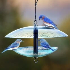 Mosaic Birds Baffle Dome Bird Feeder, 32-oz -Sunny Decor Shop 209877 PT2. AC SS1800 V1660235853