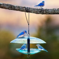 Mosaic Birds Baffle Dome Bird Feeder, 32-oz -Sunny Decor Shop 209877 PT4. AC SS1800 V1660310574