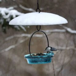 Mosaic Birds Glass Baffle Bird Weather Dome, 15-in -Sunny Decor Shop 209885 PT7. AC SS1800 V1660239799