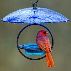 Mosaic Birds Petite Glass Baffle Bird Weather Dome, 11-in -Sunny Decor Shop 209890 PT7. AC SS1800 V1660309758