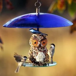 Mosaic Birds 360 Degree Seed Cylinder Bird Feeder, 15-in -Sunny Decor Shop 209923 PT4. AC SS1800 V1660310452