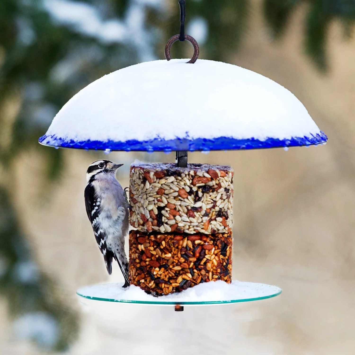 Mosaic Birds 360 Degree Petite Seed Cylinder Bird Feeder, 11-in 4 Mosaic Birds 360 Degree Petite Seed Cylinder Bird Feeder, 11-in - Image 2