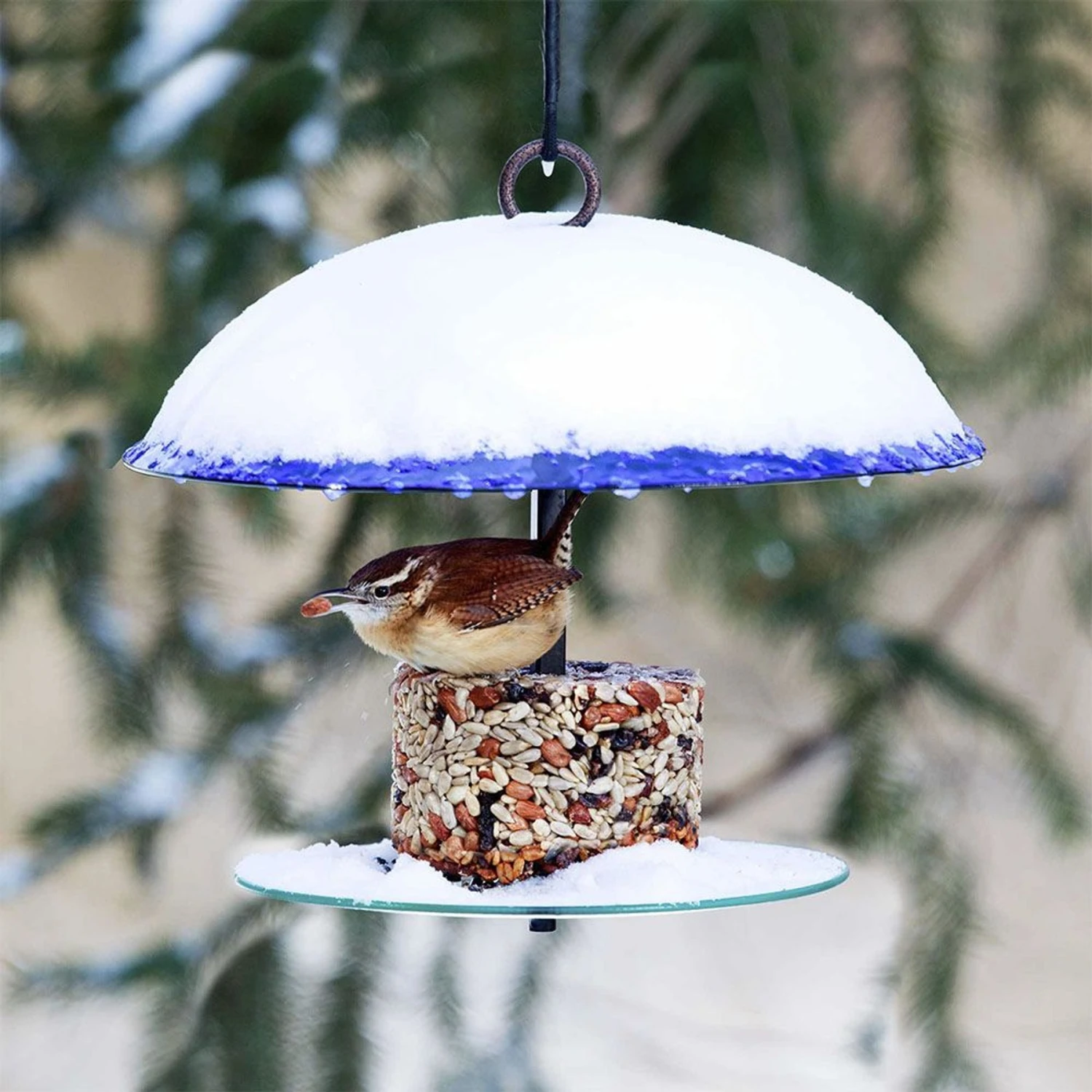 Mosaic Birds 360 Degree Petite Seed Cylinder Bird Feeder, 11-in 6 Mosaic Birds 360 Degree Petite Seed Cylinder Bird Feeder, 11-in - Image 4