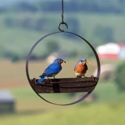 Mosaic Birds Bistro Bird Feeder, 16.9-oz -Sunny Decor Shop 209938 PT2. AC SS1800 V1660235803