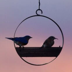 Mosaic Birds Bistro Bird Feeder, 16.9-oz -Sunny Decor Shop 209938 PT3. AC SS1800 V1660235802