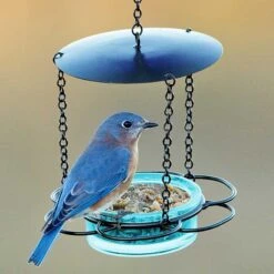 Mosaic Birds Floral Hanging Bird Feeder, 3.4-oz -Sunny Decor Shop 209946 PT1. AC SS1800 V1678886726