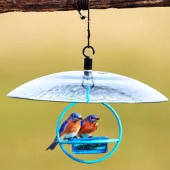Mosaic Birds Easy Hook Bird Feeder Hanging Nylon Rope, 48-in -Sunny Decor Shop 209963 PT3. AC SS1800 V1660240276