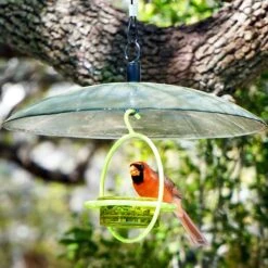 Mosaic Birds Easy Hook Bird Feeder Hanging Steel Cable, 48-in -Sunny Decor Shop 209965 PT3. AC SS1800 V1660241817