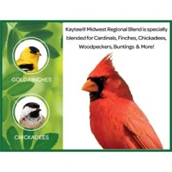 Kaytee Midwest Regional Wild Bird Food -Sunny Decor Shop 216241 PT7. AC SS1800 V1679329048