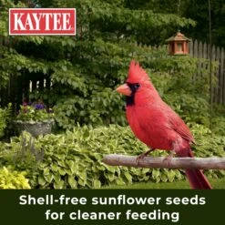 Kaytee Waste Free Blend Wild Bird Food -Sunny Decor Shop 216247 PT6. AC SS1800 V1679329647