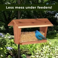 Kaytee Waste Free Blend Wild Bird Food -Sunny Decor Shop 216247 PT7. AC SS1800 V1679329049