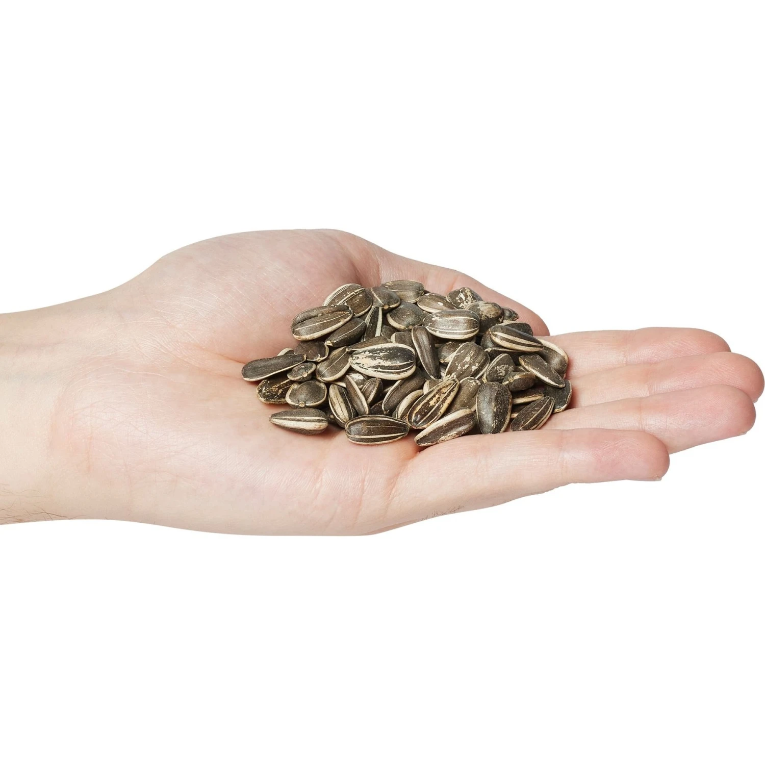 Kaytee Striped Sunflower Wild Bird Food, 5-lb Bag 4 Kaytee Striped Sunflower Wild Bird Food, 5-lb Bag - Image 2