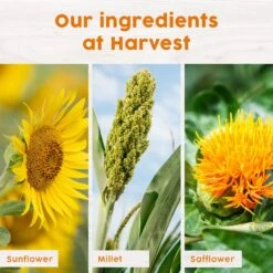 Harvest Seed & Supply Songbird Corn Free Wild Bird Food -Sunny Decor Shop 217686 PT4. AC SS1800 V1683234859