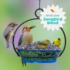 Harvest Seed & Supply Songbird Corn Free Wild Bird Food -Sunny Decor Shop 217686 PT6. AC SS1800 V1683234804